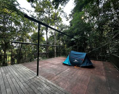 Fernweh- Campsite in Wayanad